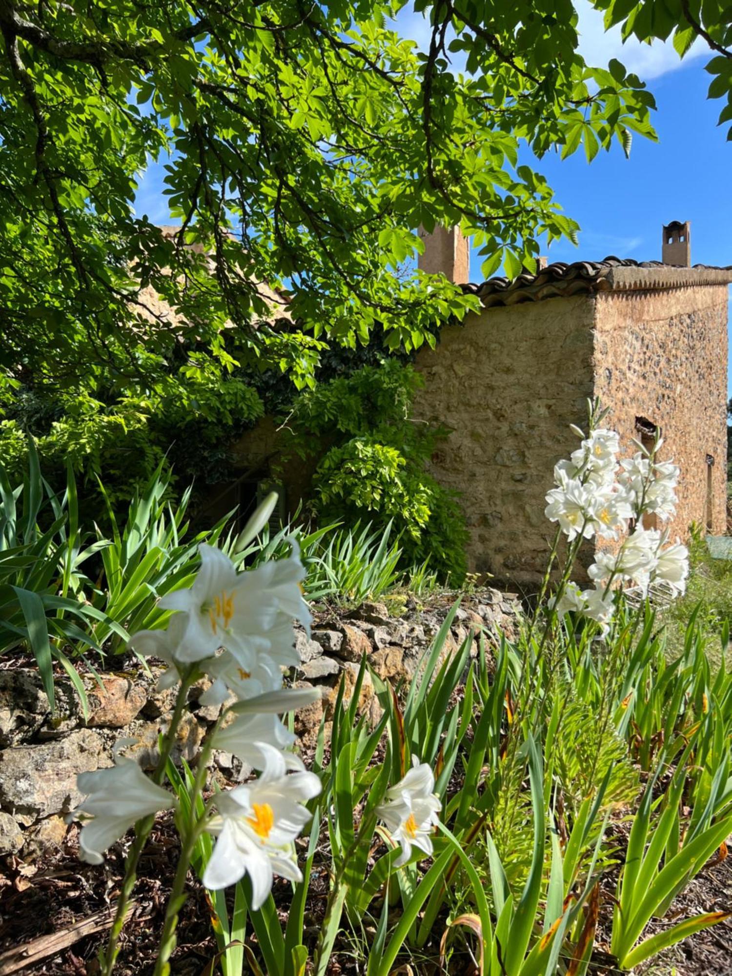 Charmant Appartement Independant Au Sein D'Un Mas Provencal Оп Экстерьер фото